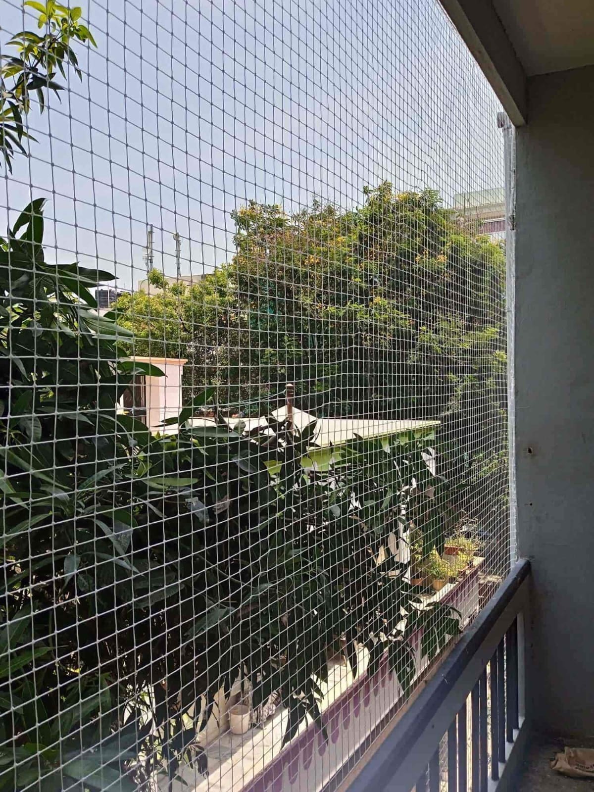 Bird Netting Project