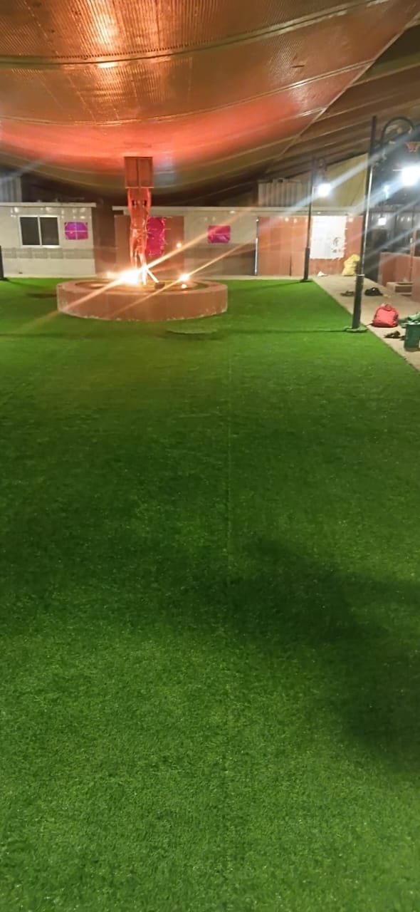Artificial Grass Project